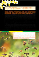 Пчеловодство с Вадимом Тихомировым — фото, картинка — 11