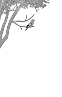 Сердце волчьего леса — фото, картинка — 1