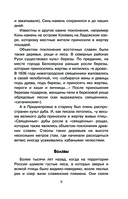 Славянские мифы и обычаи — фото, картинка — 9