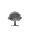 Библия самопомощи. 8 главных столпов для осознанной и наполненной жизни — фото, картинка — 1