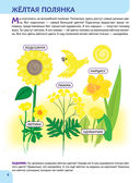 Окружающий мир. Первые занятия для малышей — фото, картинка — 3