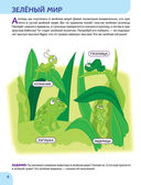 Окружающий мир. Первые занятия для малышей — фото, картинка — 5