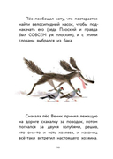 Пёс Веник ищет друзей — фото, картинка — 8