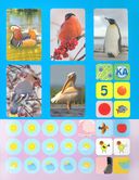 Птицы. Сборник развивающих заданий с наклейками — фото, картинка — 2