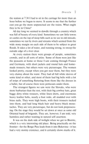 Dracula — фото, картинка — 6