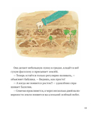 В саду Базилика. Как появляются новые растения — фото, картинка — 6