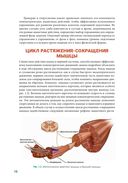 Анатомия плиометрики — фото, картинка — 11