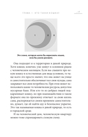 Кошачий закон и порядок. Как найти общий язык с кошкой и не стать жертвой ее капризов — фото, картинка — 12