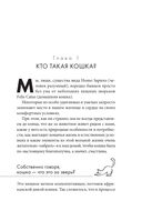 Кошачий закон и порядок. Как найти общий язык с кошкой и не стать жертвой ее капризов — фото, картинка — 6