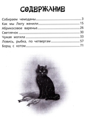 Дорога в лето — фото, картинка — 1