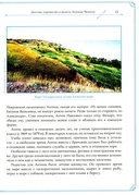 А. П. Чехов и И. А. Бунин. История одной дружбы — фото, картинка — 13