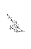 Ступени над Бездной. Том 1 — фото, картинка — 2