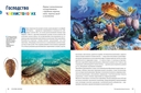Тайны морей и океанов. Большая иллюстрированная энциклопедия — фото, картинка — 6
