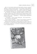 Мемуары двоечника — фото, картинка — 8