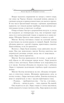 Тёмные начала. Том 3. Янтарный телескоп — фото, картинка — 8