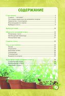 Мини-огород на подоконнике. Легко и просто — фото, картинка — 5