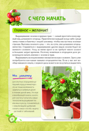 Мини-огород на подоконнике. Легко и просто — фото, картинка — 6