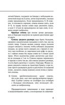 Своя рассада — фото, картинка — 5