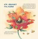 Израиль. Страна анемонов — фото, картинка — 3