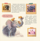 Израиль. Страна анемонов — фото, картинка — 4