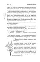 Служба устранения магических конфузов — фото, картинка — 12