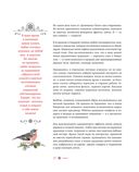 Новый год. От истории елочных игрушек до традиций разных стран — фото, картинка — 8