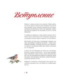 Новый год. От истории елочных игрушек до традиций разных стран — фото, картинка — 4