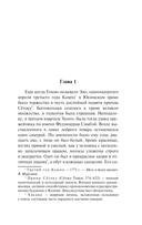 Пионовый фонарь — фото, картинка — 8