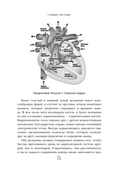 Хирурги, святые и психопаты. Остросюжетная история медицины — фото, картинка — 12