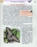 Энциклопедия. Бабочки — фото, картинка — 3