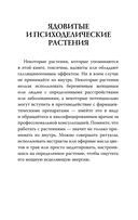 Мудрость земли и космоса. Мистическая связь небес и земли — фото, картинка — 13