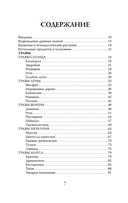 Мудрость земли и космоса. Мистическая связь небес и земли — фото, картинка — 6