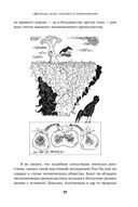 Секс с учеными. Половое размножение и другие загадки биологии — фото, картинка — 24