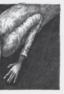 Сто. Лирика — фото, картинка — 27