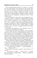 Вызываем огонь на себя — фото, картинка — 6