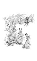 Серая Шейка. Сказки — фото, картинка — 2