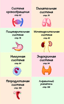 Тело человека. Домашняя лаборатория для детей — фото, картинка — 3