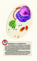 Тело человека. Домашняя лаборатория для детей — фото, картинка — 9