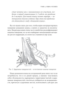 Здравствуйте, я ваша кошка! Руководство по уходу, общению и воспитанию — фото, картинка — 10