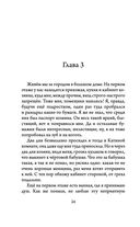 Невероятные приключения кота Сократа — фото, картинка — 23