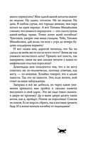 Невероятные приключения кота Сократа — фото, картинка — 30