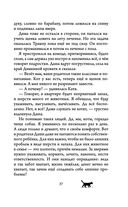 Невероятные приключения кота Сократа — фото, картинка — 36