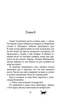 Невероятные приключения кота Сократа — фото, картинка — 46