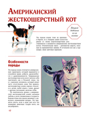 Кошки — фото, картинка — 11