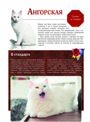 Кошки — фото, картинка — 13