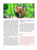 Кошки — фото, картинка — 3