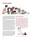 Кошки — фото, картинка — 5