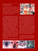 Кошки — фото, картинка — 6