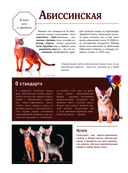 Кошки — фото, картинка — 7