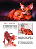 Кошки — фото, картинка — 8